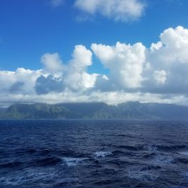 Celebrating World Oceans Day: 5 Ways to Say Thank You